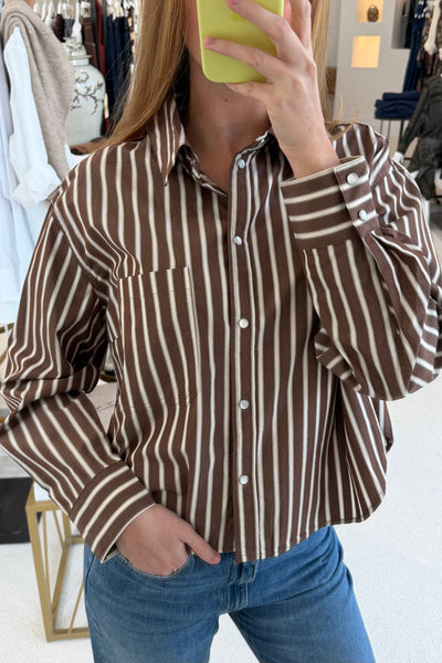 Brown Stripe Top
