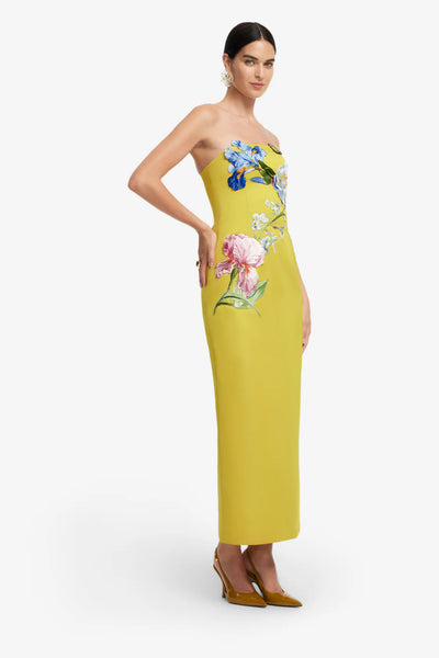 RAYNA Bustier Maxi Dress