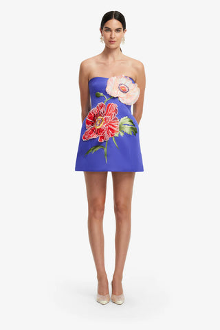 ROSARIO Bustier Mini Dress