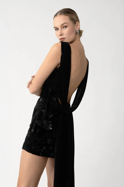 Winter Velvet Mini Dress