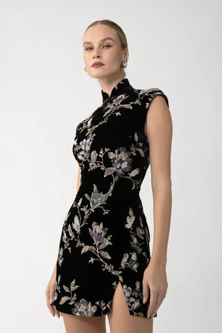 DEVON Velvet Mini Dress